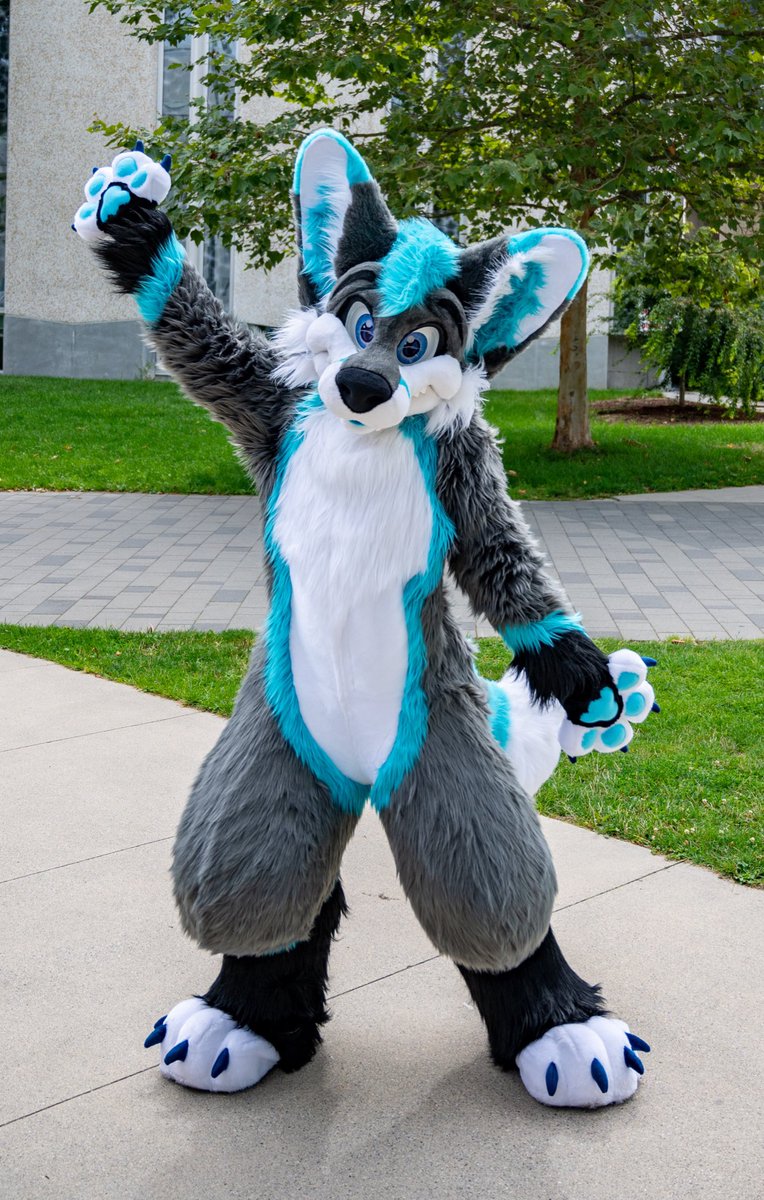 Throwback to my UBC photoshoot! Happy #FursuitFriday everyone :3 go enjoy this much needed weekend ✨

📸 <a href="/JesseBlueFox/">𝙅𝙚𝙨𝙨𝙚 (He/Him 🇨🇦) 🔜 Fur-Eh</a> 
🪡 @morefurless