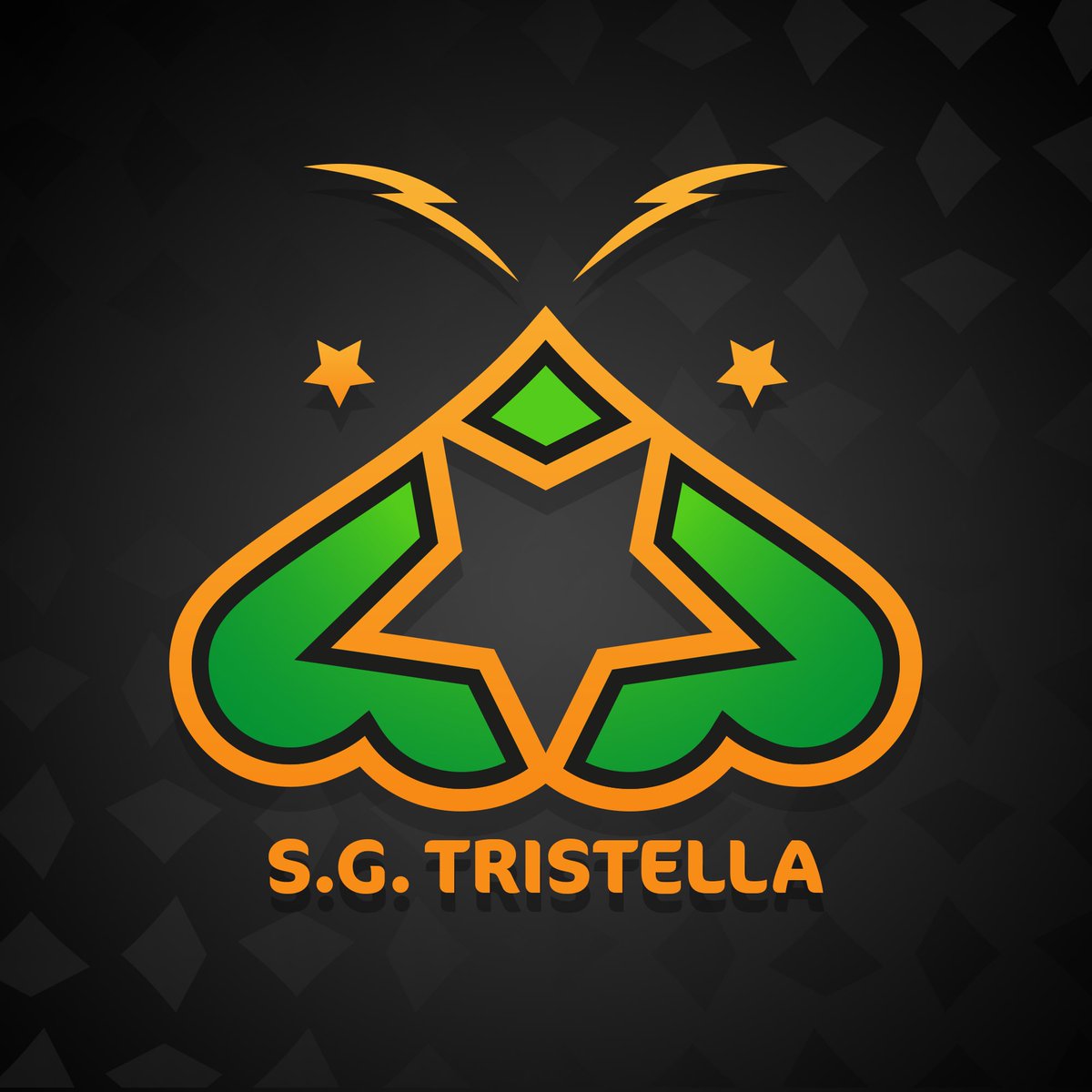 S.G.Tristella has decided to disband after the last two competitions in which we are currently participating. We are really close to missing the World Championships and will finish 9th in the world. Thanks to all of you for all of your support!