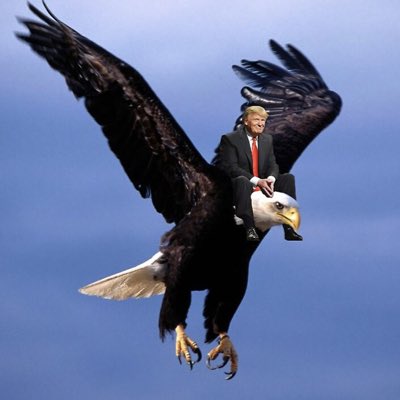 BarFremont's tweet photo. #NewProfilePic https://t.co/KLUKdUFdTj