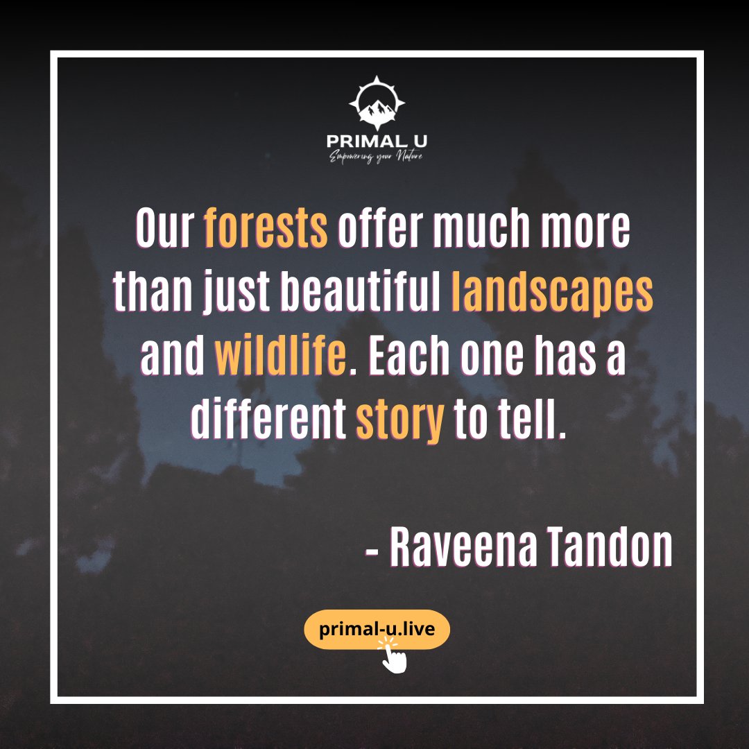 A tree is more than just a tree. A forest is more than just a forest. Click the link in our bio to know more about our courses and the philosophy behind what we do.

#qouteoftheday #primalu #fear #adventure #survival #bushcraft #outdoors #camping #permaculture #selfreliance