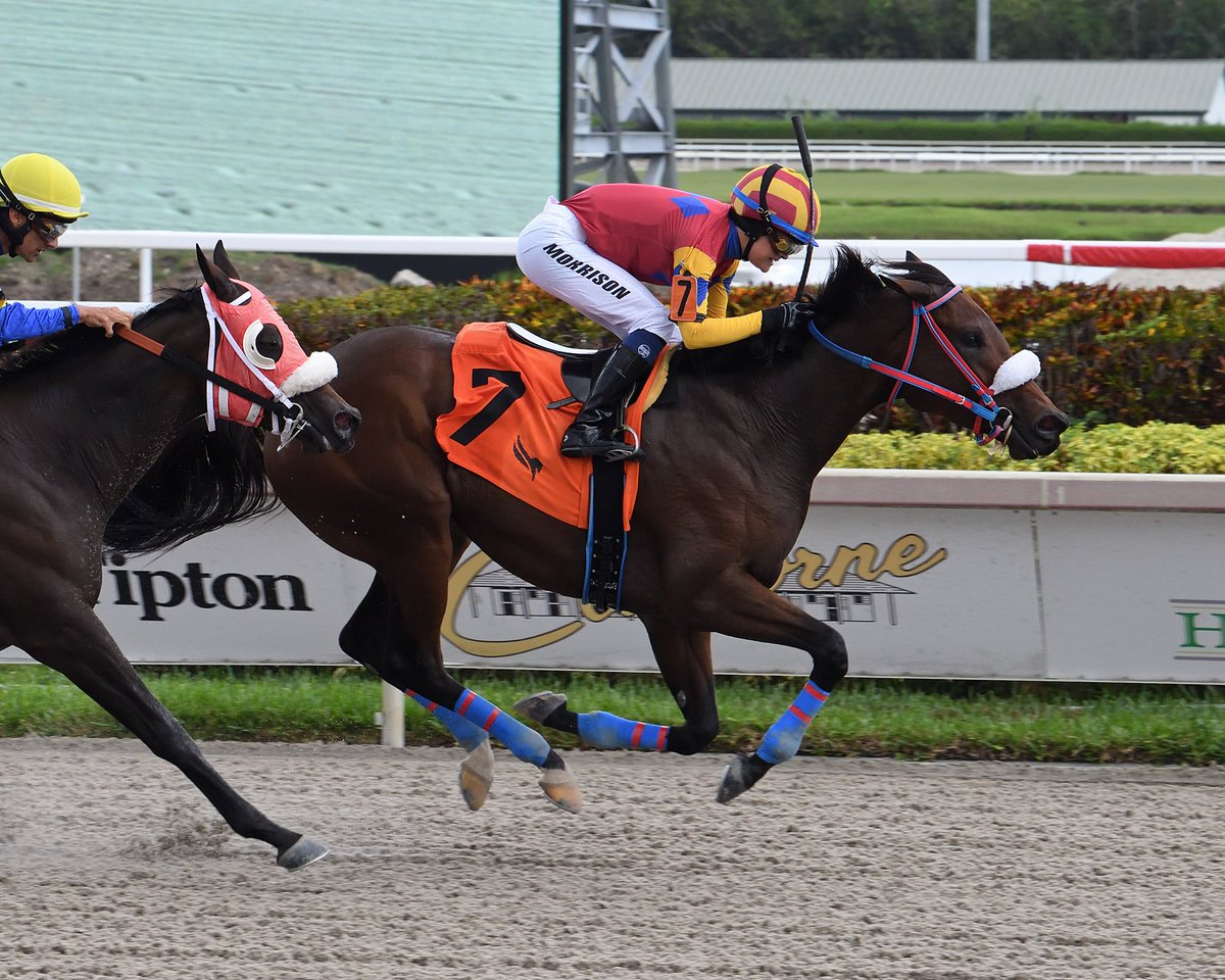 GulfstreamPark's tweet photo. Mudshaft prevails in the 3rd race, apprentice Ailsa Morrison @LCjockette at the reins for trainer @MJWHorseRacing. #GulfstreamPark #RoyalPalmMeet https://t.co/2t0CGkYLr0