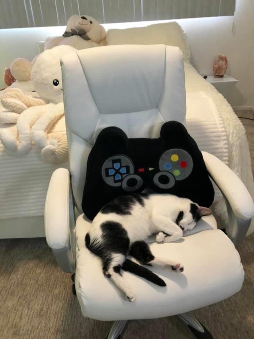 Watch sidney's leaked NSFW photo on TwXstars