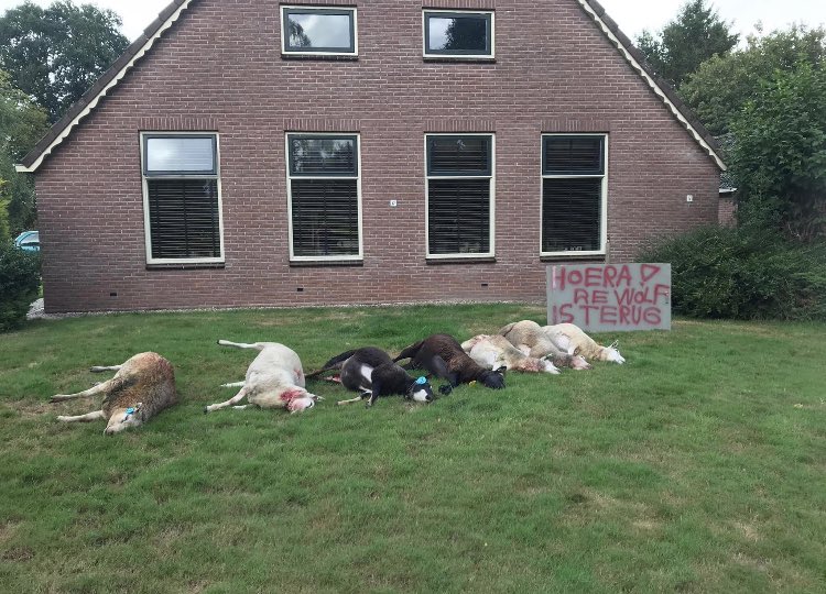 bhietberg's tweet photo. Ondertussen op het platteland 

@2eKamertweets @minlnv https://t.co/dmoSdstHKt
