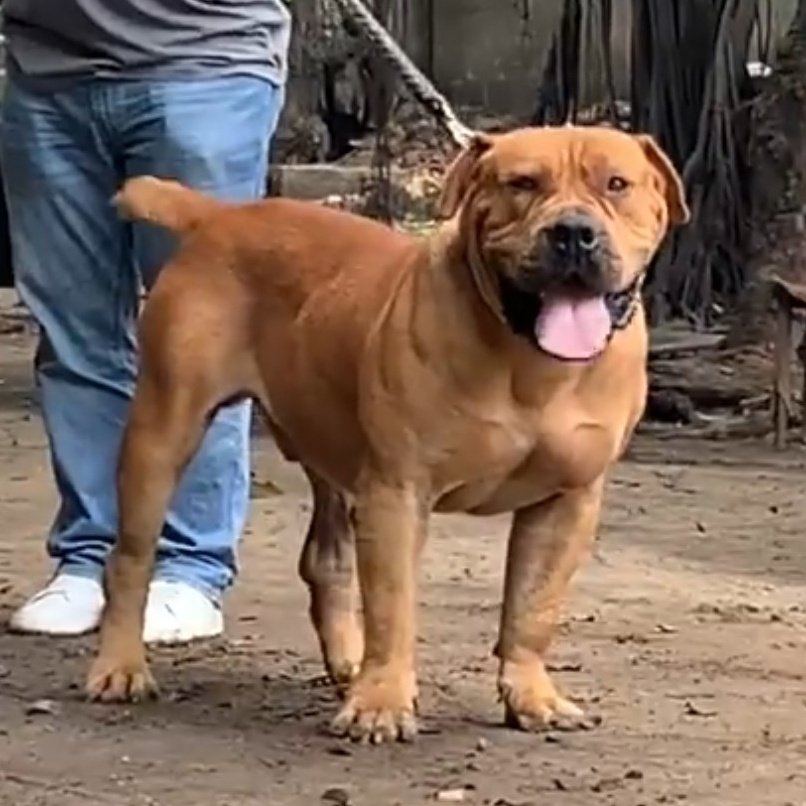 MichaelOpadele's tweet image. #NewProfilePic