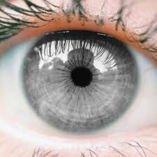 eyesgreen💚 tweet media
