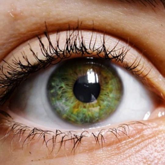 eyesgreen💚 tweet media