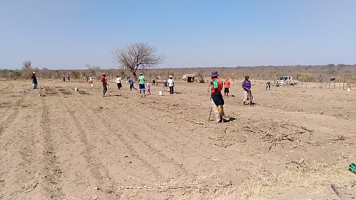 MatHumanRights's tweet photo. #WaterPoint: At MIHR we don't only talk #water and #climate resilience, but we take practical steps to ensure inclusive water & practical adaptation by poor communities. Thanks to @NZinSouthAfrica
#RightsInAction
@SiphoMalunga @tsunga_arnold @HMAMelanieR @ActionAidZim @giz_green https://t.co/dBWrtCMhjt