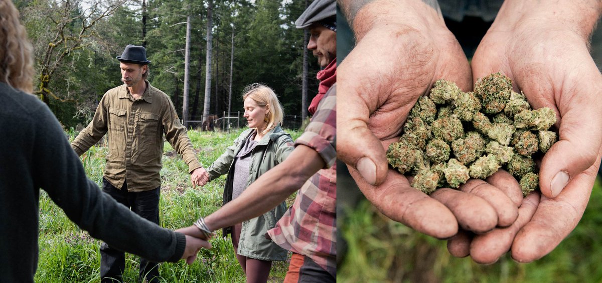 This months Compassion Program will be supplied by <a href="/BrotherDavids/">BrotherDavids</a> 🌱