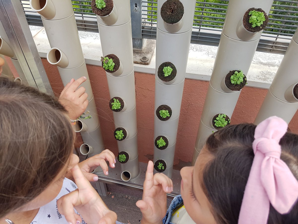 SomRiusEscola's tweet photo. Després de les presentacions,  avui hem començat les activitats de l'hort vertical juntament amb  persones d'una llar de Gràcia i  @grootsfarming. Hem preparat el planter, hem observat el reg i hem olorat les alfàbregues @CRP_Gracia @consorciedubcn @BCN_Ecologia @igualtat_edubcn https://t.co/4S95fz9eQV