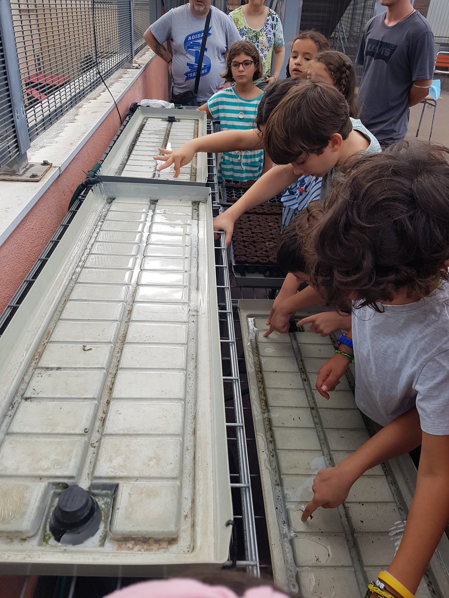 SomRiusEscola's tweet photo. Després de les presentacions,  avui hem començat les activitats de l'hort vertical juntament amb  persones d'una llar de Gràcia i  @grootsfarming. Hem preparat el planter, hem observat el reg i hem olorat les alfàbregues @CRP_Gracia @consorciedubcn @BCN_Ecologia @igualtat_edubcn https://t.co/4S95fz9eQV