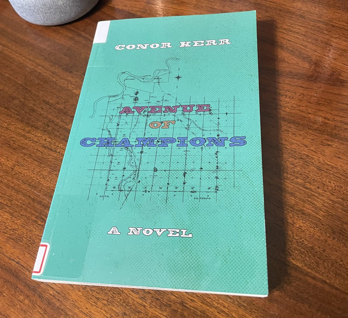 LiteraryHoarder's tweet photo. #FridayReads #GillerPrize #ShadowGiller AVENUE OF CHAMPIONS by Conor Kerr @NightwoodEd https://t.co/WGdmdSE5t2