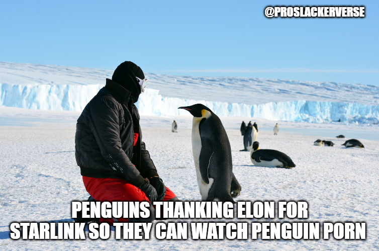 sgmpodcst's tweet image. Day 51 of trying to get @elonmusk on SGM 

The strategy - tweet as many Elon memes until he RT's one as a binding agreement to come on the show
linktr.ee/SGMPODCAST

@ProSlackerverse

#ElonMusk #podcast #tesla #SpaceX #fintwit #Antarctic