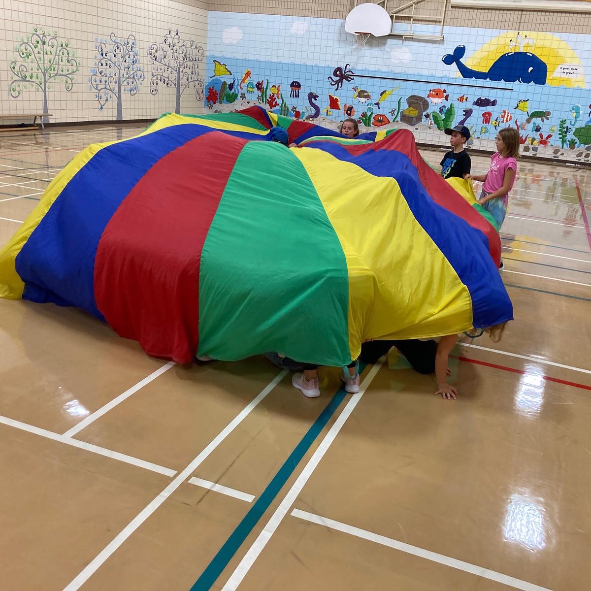 Mitchell Elementary tweet media