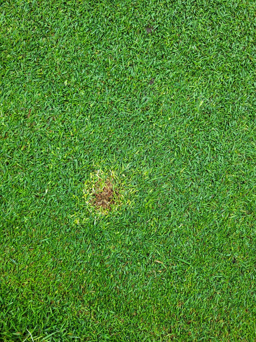 Don Walinga tweet media