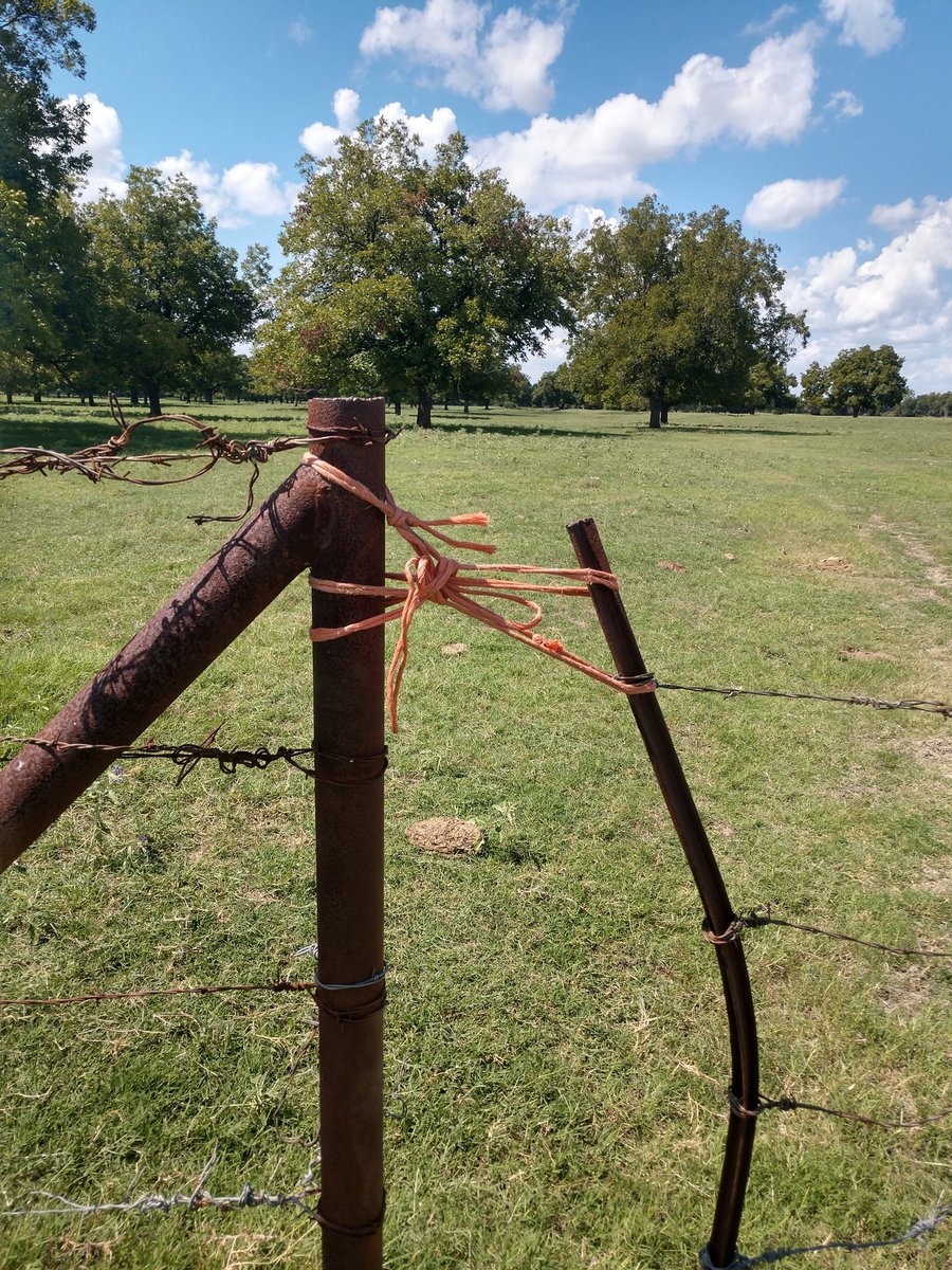 Aaron Martinka tweet media