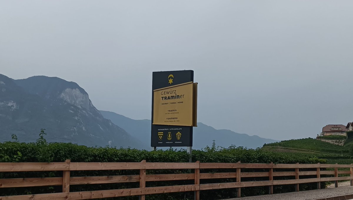 maxibalz's tweet image. Iniziamo la bevuta?