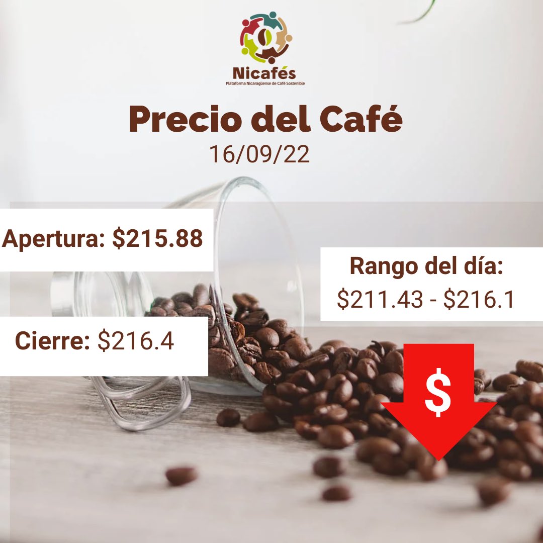 Plataforma Nicaragüense de Café Sostenible tweet media