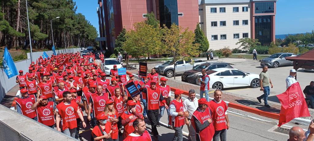 mtelhn's tweet photo. #omüdireniyor işçiler hakkı olan verilmezse greve gidiyor https://t.co/7v60Qk0nrZ