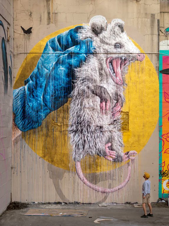 PossumDeMenthe's tweet photo. Richmond now has a possum mural! via /u/nilsrva on reddit @nilsrva https://t.co/lom9YhghQp