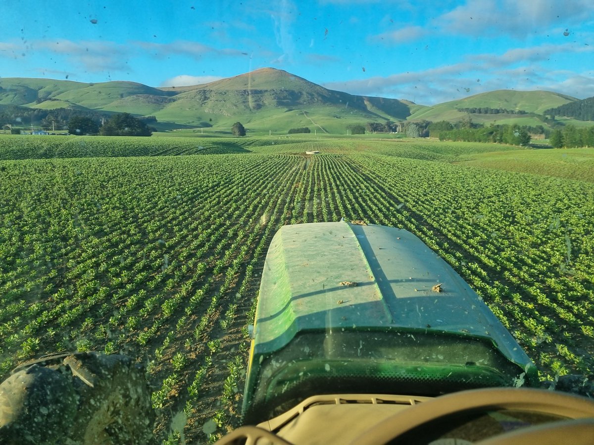 Cwhiteside233's tweet photo. Stunning morning for it...... https://t.co/77g2b179Dm