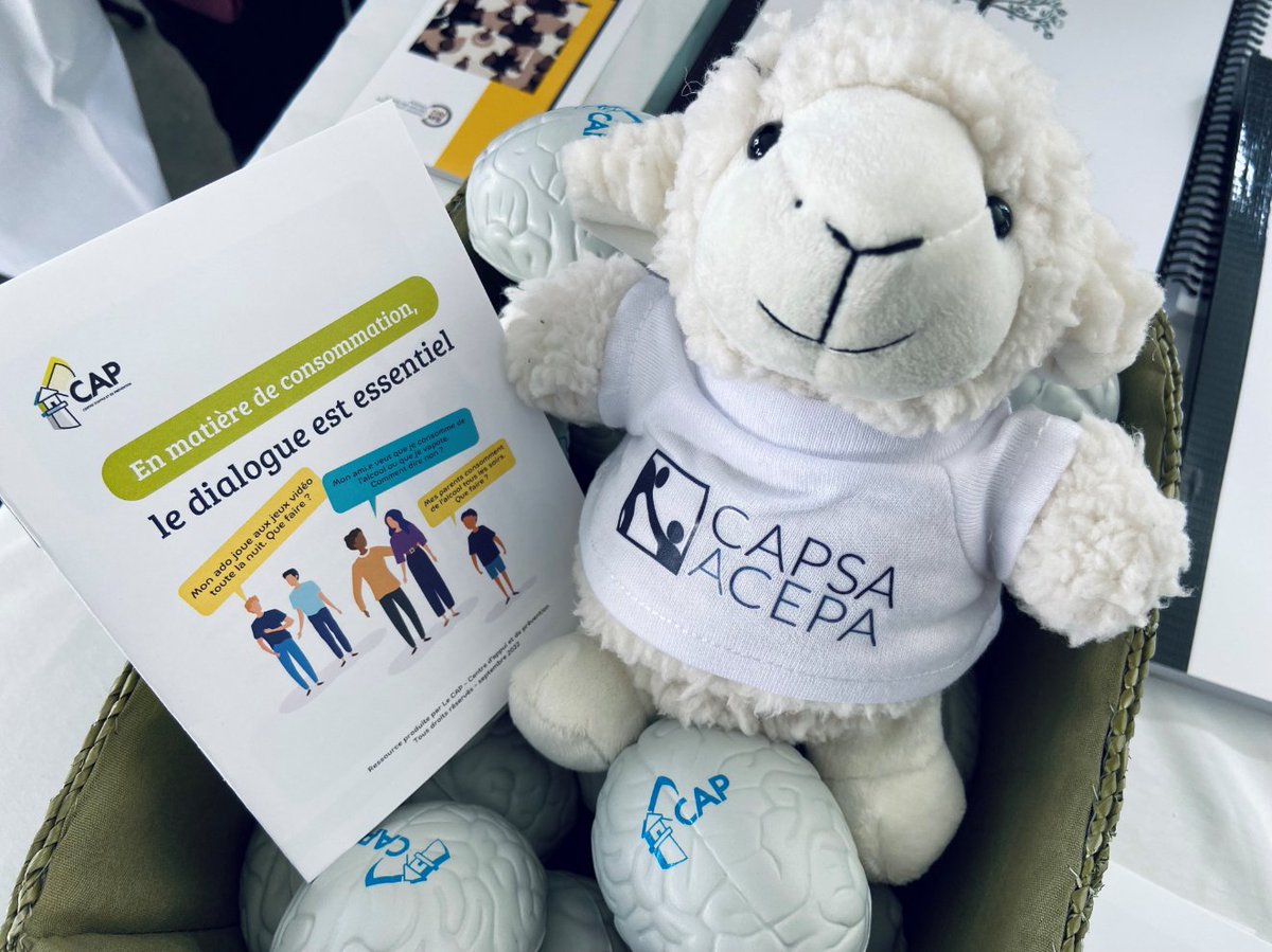 RachelReplique's tweet photo. L'équipe du @Le_CAP_ON s'est retrouvée pour le festival Avançons vers le mieux-être organisé par @CAPSACanada. #JeMetsFinÀlaStigmatisation #dependances https://t.co/8Tuyslu4xX