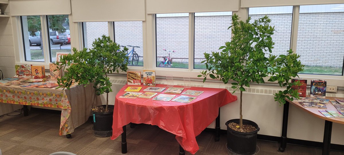 scoutfinch451's tweet photo. Our Library got a fresh new addition this week - orange trees with actual oranges 🍊 Thanks Mrs. Pethick! @LindaleSchool #LindaleLibrary https://t.co/Sce84L14qx