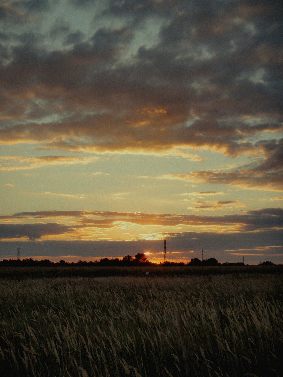 vladtimichev's tweet photo. @BraydenCreation Sunset vibes 🌅 https://t.co/X7AtMSdk8b