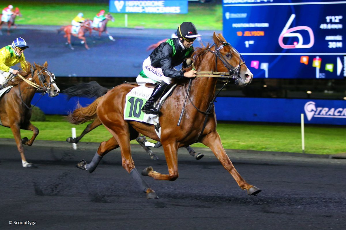 Osarus_Trot's tweet photo. 𝐉𝐄𝐋𝐘𝐒𝐎𝐍 🏆 𝐆𝐫.𝟐
Vendu lors de la 1re vente @Osarus_Trot de Laval par Éc. Smart à D.Cottin, JELYSON #Timoko remporte le Prix de Basly Gr.2 à @vhpofficiel
Félicitations à @alexpillonGD @cottin01 Y.Lebourgeois 🥂
Prochaine vente : Laval 6 octobre
https://t.co/ZuG8qgkJkj https://t.co/hddv6oXDTT
