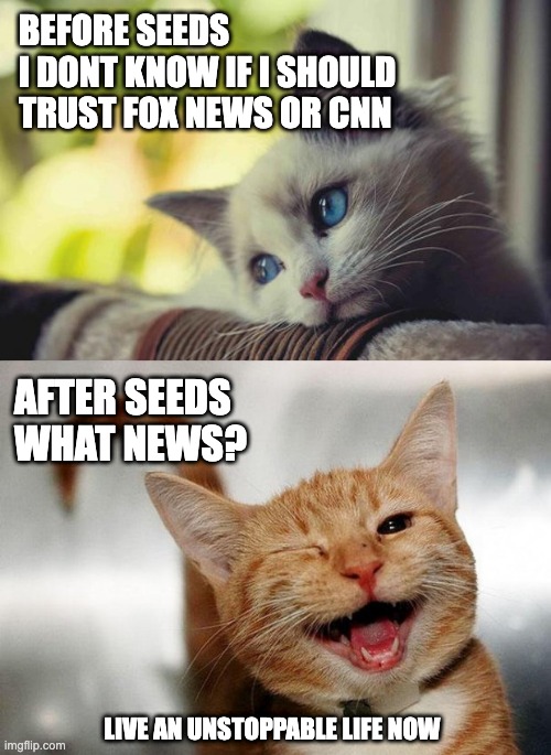 #SEEDS #SEEDSLEADERSHIP #consciousleadership #empoweredlife #truth #unstoppable #unstoppablelife

seedsleadership.com/preview/