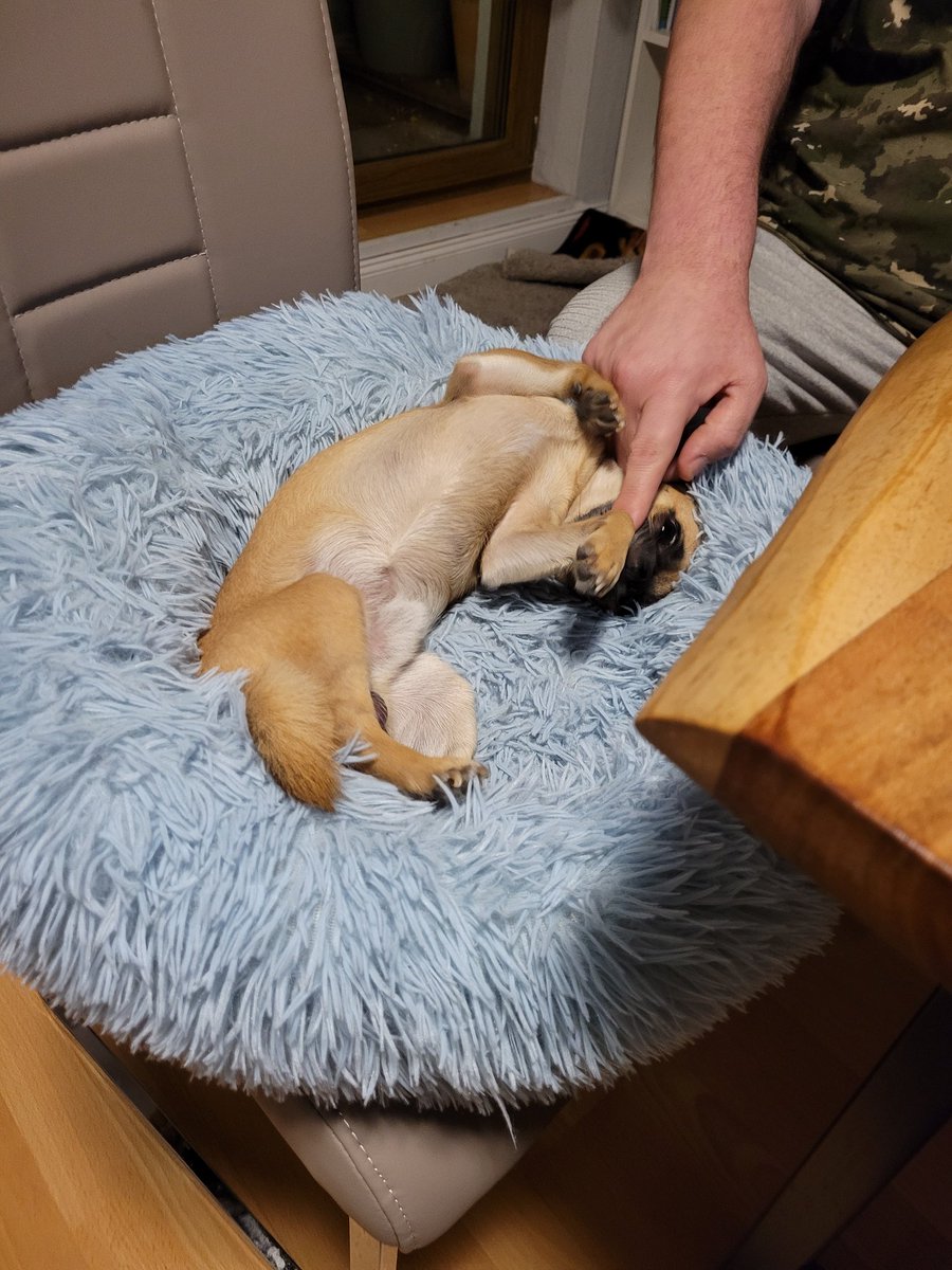 Pfoll geil. Gute Nacht an alle.