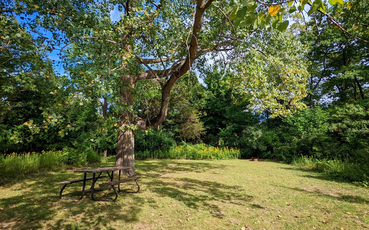 Lindz 🇨🇦 I've Been B✈t! tweet media