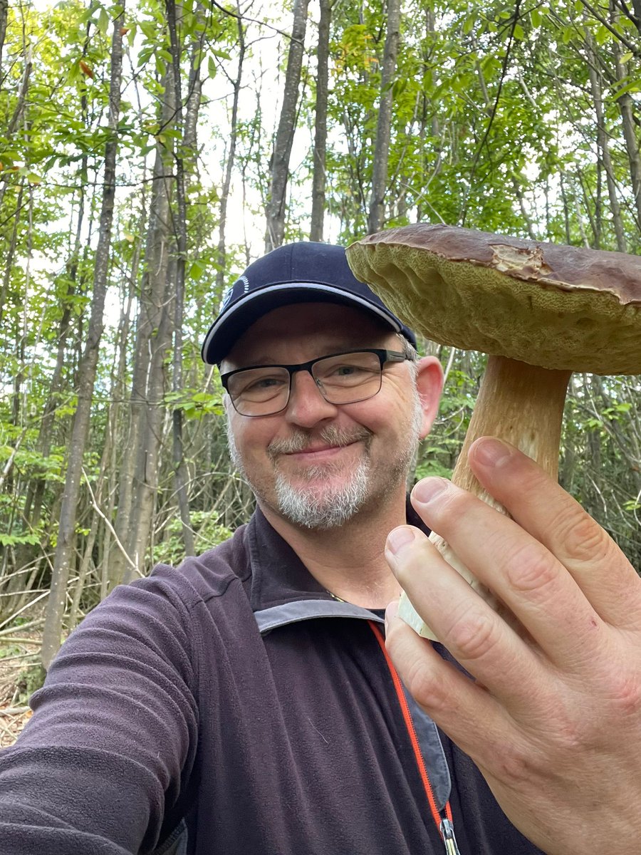 The Lockdown Garden tweet media