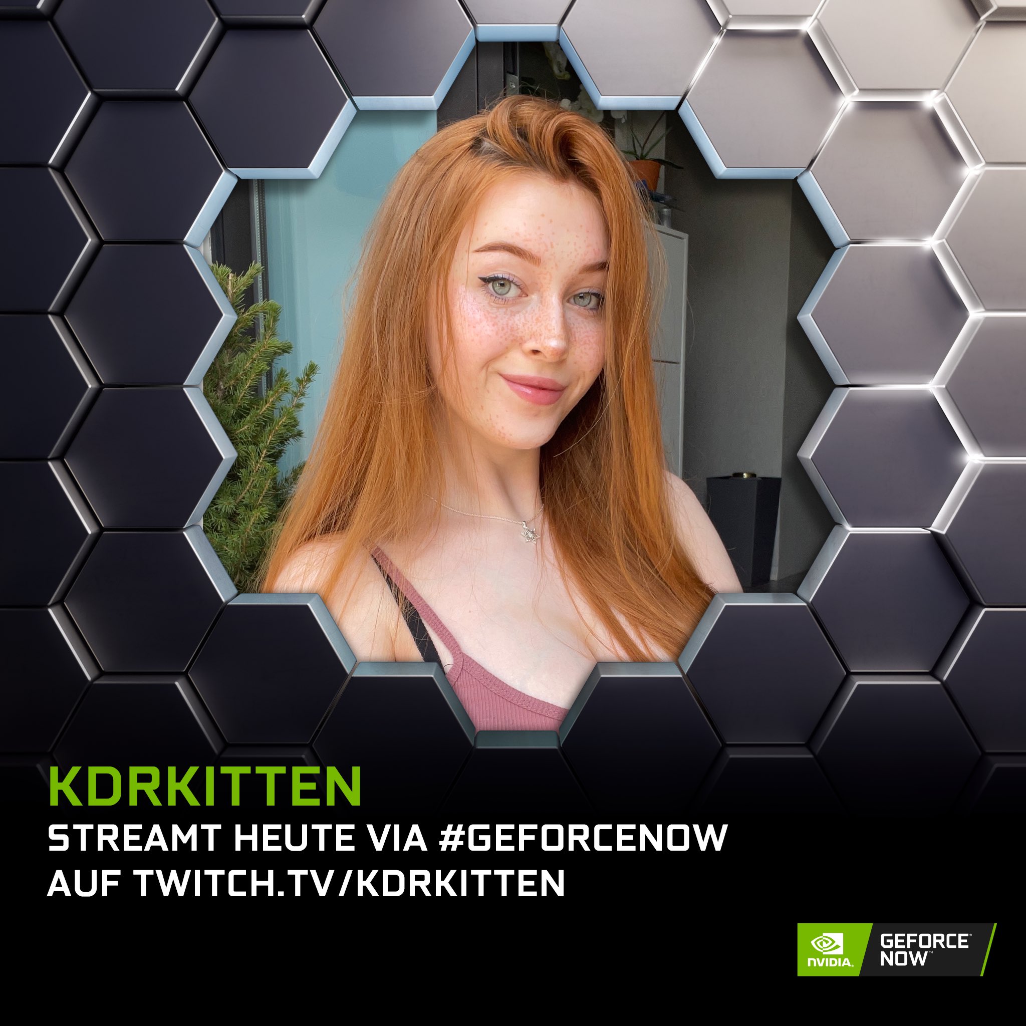 KDRkitten on X: Ich bin jetzt live auf t.covkh7unRg58 und spiele  heute wieder Cult of the Lamb via #NVIDIAGFN_DE. Ihr wollt auch die  neuesten Games spielen, ohne einen guten PC besitzen zu