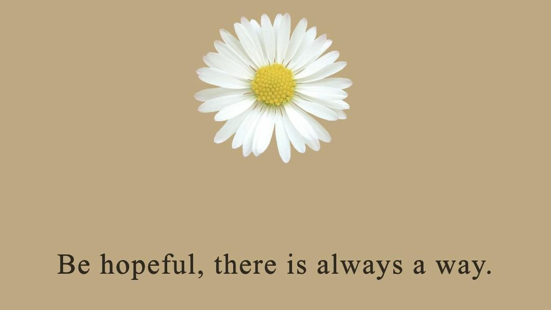 FSertkaya_'s tweet photo. 🌸 https://t.co/e8MJNiIDuj