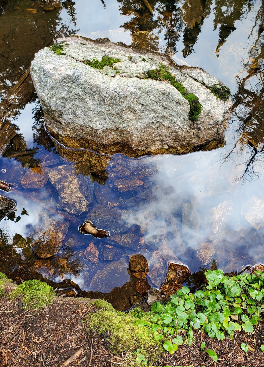 SantiagoWeek13's tweet image. The Looking Glass.
#hiking
#RMMP
@RockyNPS
