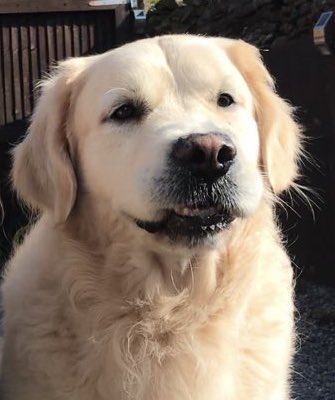 👅 Teddy 👅 tweet media