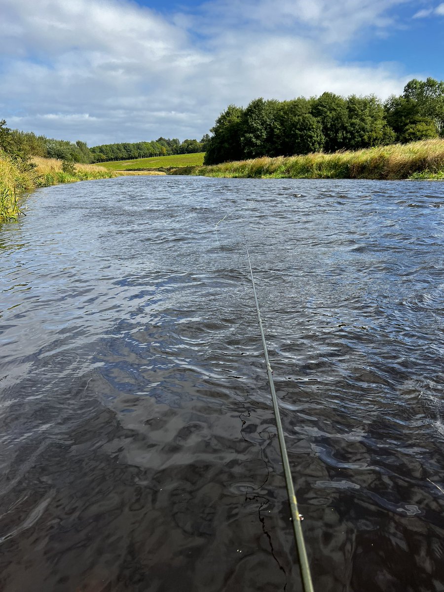 Threw a few lines out today… didn’t connect with anything 😕