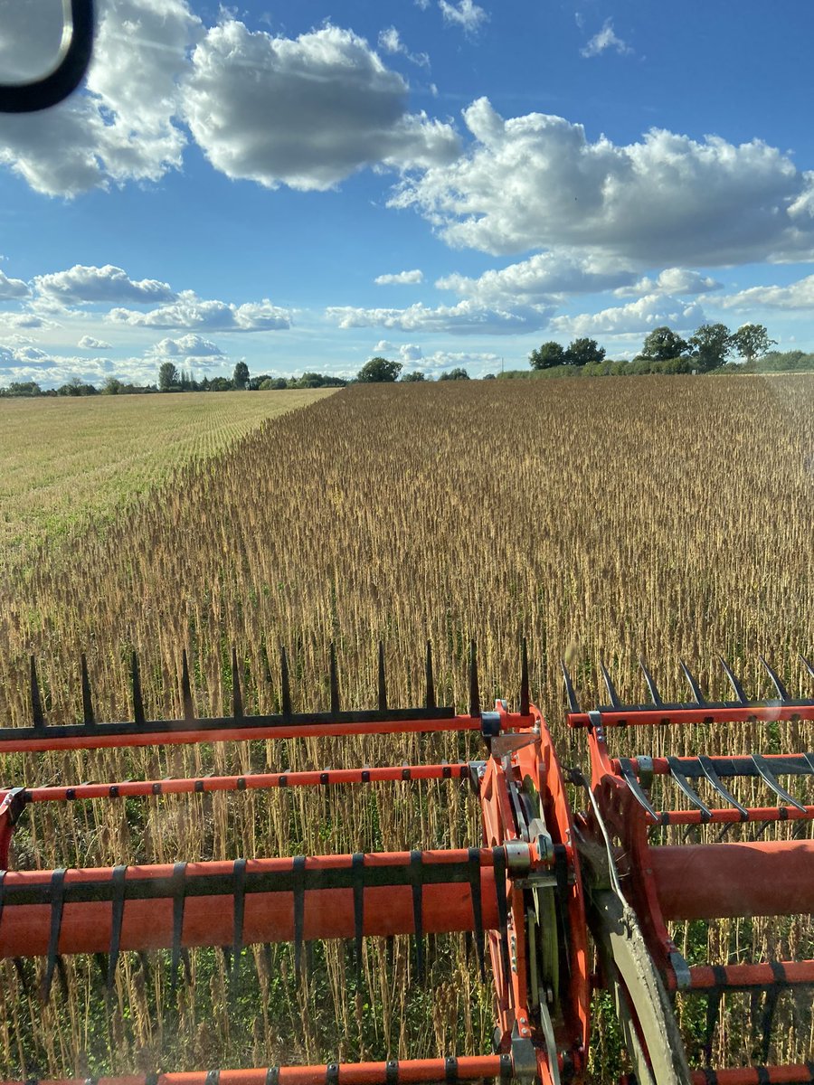 Michael Kavanagh tweet media