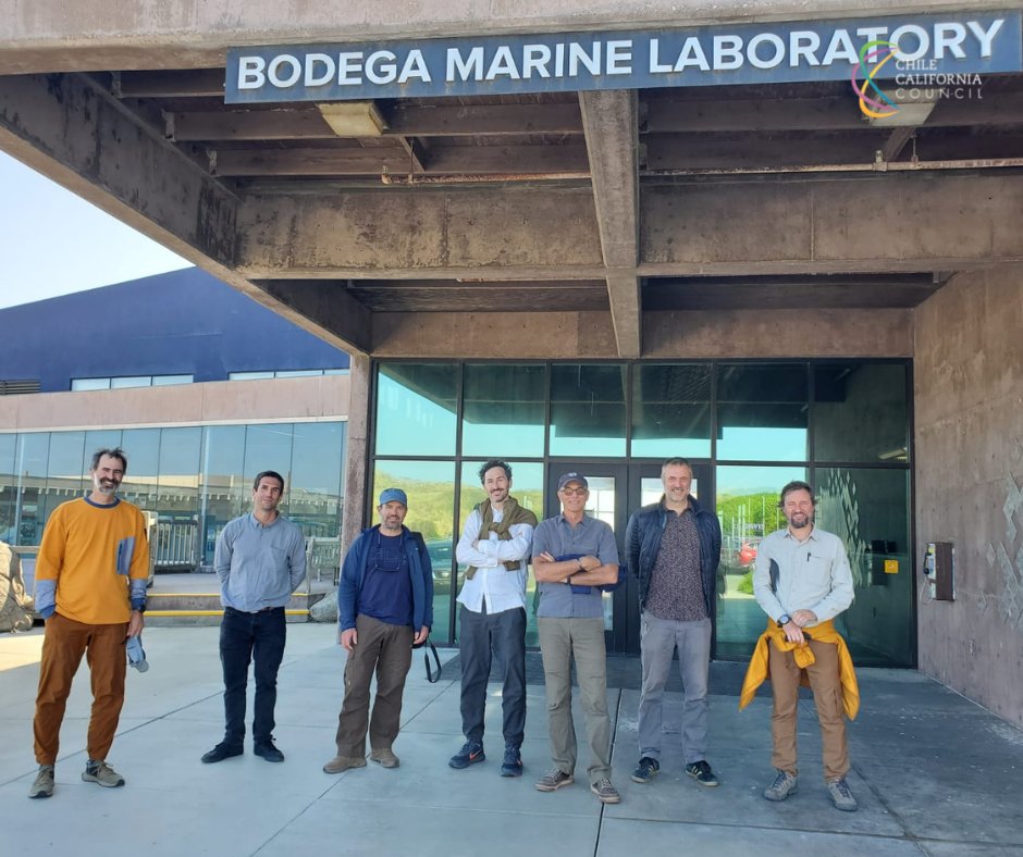Chile_CA's tweet photo. AGUA👉💧Esta vez, sobre #AtrapaNieblas (#FogWater), donde un grupo destacado de académicos y expertos @uc_chile -entre ellos Camilo del Rio, Pablo Osses y Juan Luis Garcia, junto al Coordinador Ejecutivo de la RCER-UC, @sergioguitart (1/8) https://t.co/dLdQaUoYKR