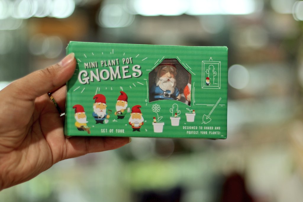 plantlabdesign's tweet photo. The naughtiest little gnomes arrived at the shop today!

These little guys are a cute way to add a little extra something to your plants. There's a non-naughty version as well!

#plantlabdesign
#smallbusinesseveryday
#shoplocalmb
#exchangedistrictbiz 
#shoptheexchangewpg https://t.co/L022zg0Oxr