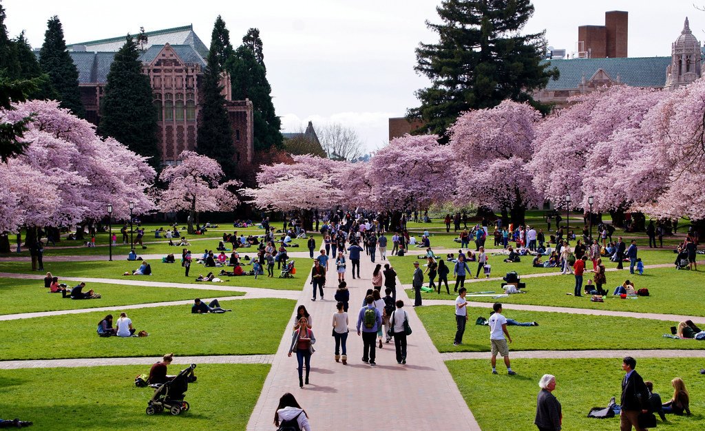 Tim Althoff (@timalthoff) on Twitter photo I'm recruiting PhD students for our <a href="/uwcse/">Allen School</a> Behavioral Data Science Group (bdata.uw.edu). Focus areas include deep representation learning, NLP, esp. for mental/mobile/public health appl. Apply here: cs.washington.edu/academics/phd/…
<a href="/uwdatascience/">UW Data Science</a> @UW_iSchool <a href="/uwdub/">HCI & Design at UW</a> <a href="/uwnlp/">UW NLP</a> I'm recruiting PhD students for our <a href="/uwcse/">Allen School</a> Behavioral Data Science Group (bdata.uw.edu). Focus areas include deep representation learning, NLP, esp. for mental/mobile/public health appl. Apply here: cs.washington.edu/academics/phd/…
<a href="/uwdatascience/">UW Data Science</a> @UW_iSchool <a href="/uwdub/">HCI & Design at UW</a> <a href="/uwnlp/">UW NLP</a>