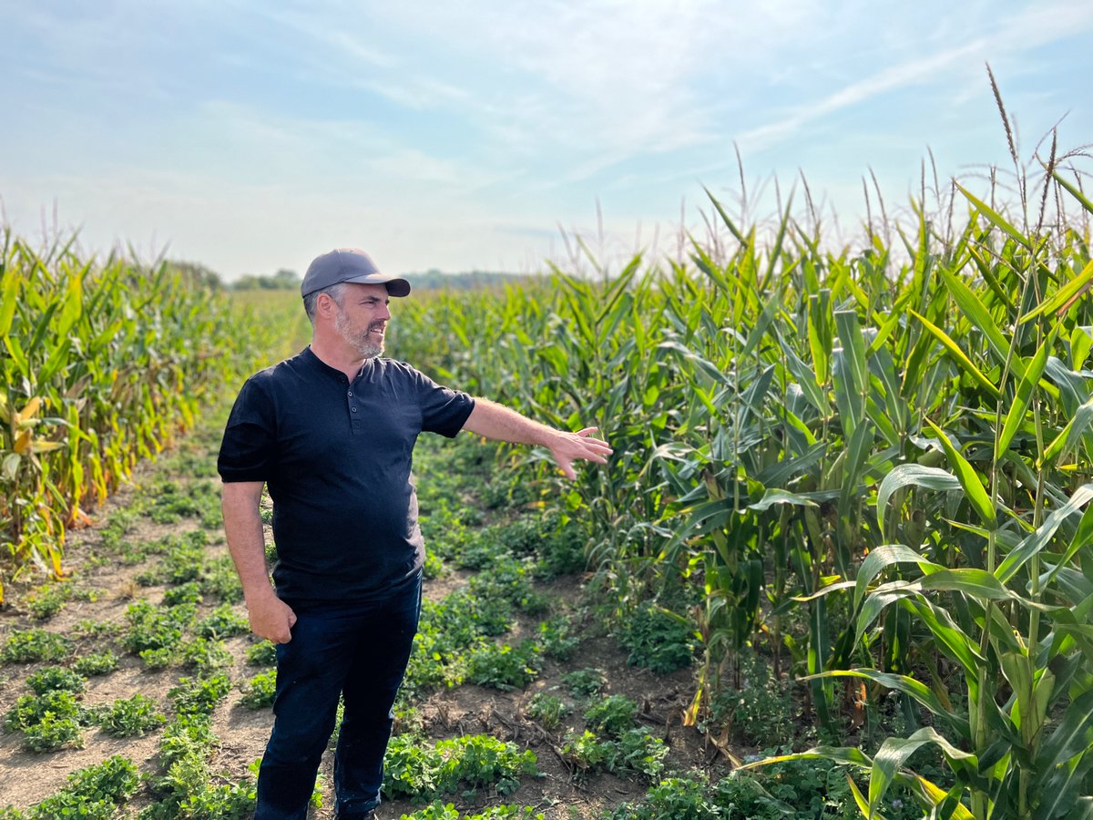 Patrick Verkley tweet media