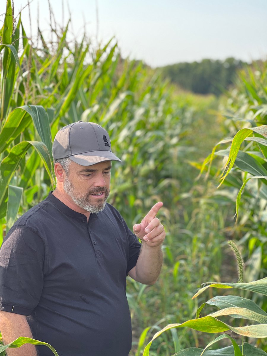 Patrick Verkley tweet media