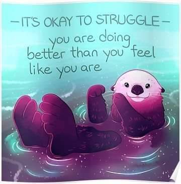 In_Otter_News2's tweet photo. https://t.co/oBXydZOeDy