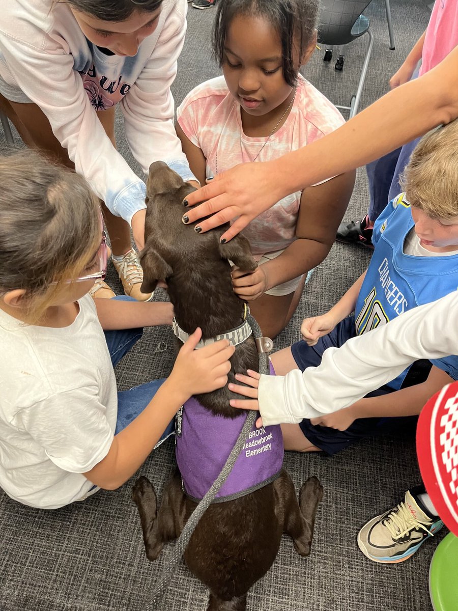 Brook (@meadow_brook_) on Twitter photo This morning I got to sub for Champ! I had such a great time working with the students at Mary Helen Guest Elementary. Thanks Mrs. House for letting me hang with you. #mustangproud <a href="/WlcsdD/">WLCSD Therapy Dogs</a> <a href="/MBEMUSTANGS/">Meadowbrook Elementary</a> <a href="/WalledLkSchools/">Walled Lake Schools</a> This morning I got to sub for Champ! I had such a great time working with the students at Mary Helen Guest Elementary. Thanks Mrs. House for letting me hang with you. #mustangproud <a href="/WlcsdD/">WLCSD Therapy Dogs</a> <a href="/MBEMUSTANGS/">Meadowbrook Elementary</a> <a href="/WalledLkSchools/">Walled Lake Schools</a>