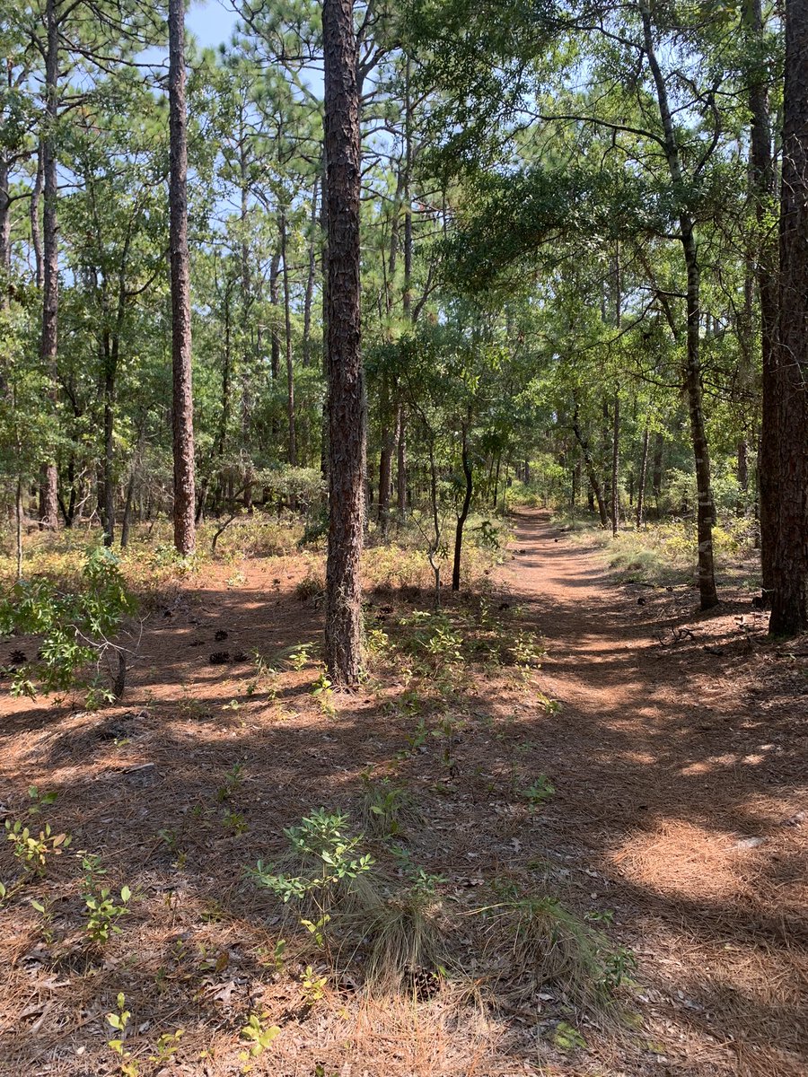 Isaac Bear ECHS tweet media