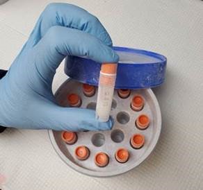 JaneLubchenco46's tweet image. Marine environmental DNA science is a powerful innovation - imagine identifying &amp;amp; measuring marine biodiversity simply by testing the water for DNA left behind! I joined experts @MarineeDNA2022 this week to discuss how eDNA can transform marine management: whitehouse.gov/ostp/news-upda…