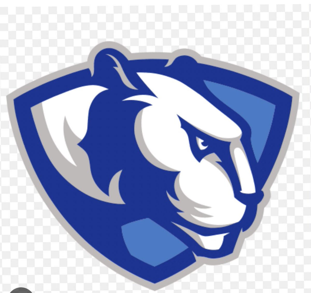 After a great conversation with <a href="/CoachMorris_/">Adam Morris</a>  I am truly blessed to receive my 3rd Division 1 offer to EIU 💙🤍<a href="/brad_goewey/">Brad Goewey</a> <a href="/Orphanfootball/">Orphan Football</a> <a href="/DeepDishFB/">DEEP DISH FOOTBALL</a>