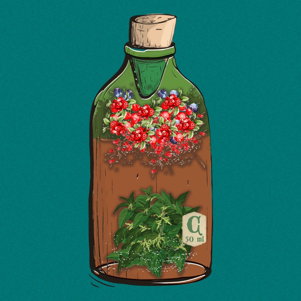 Scent.Sol | Official | LIVE MINT tweet media