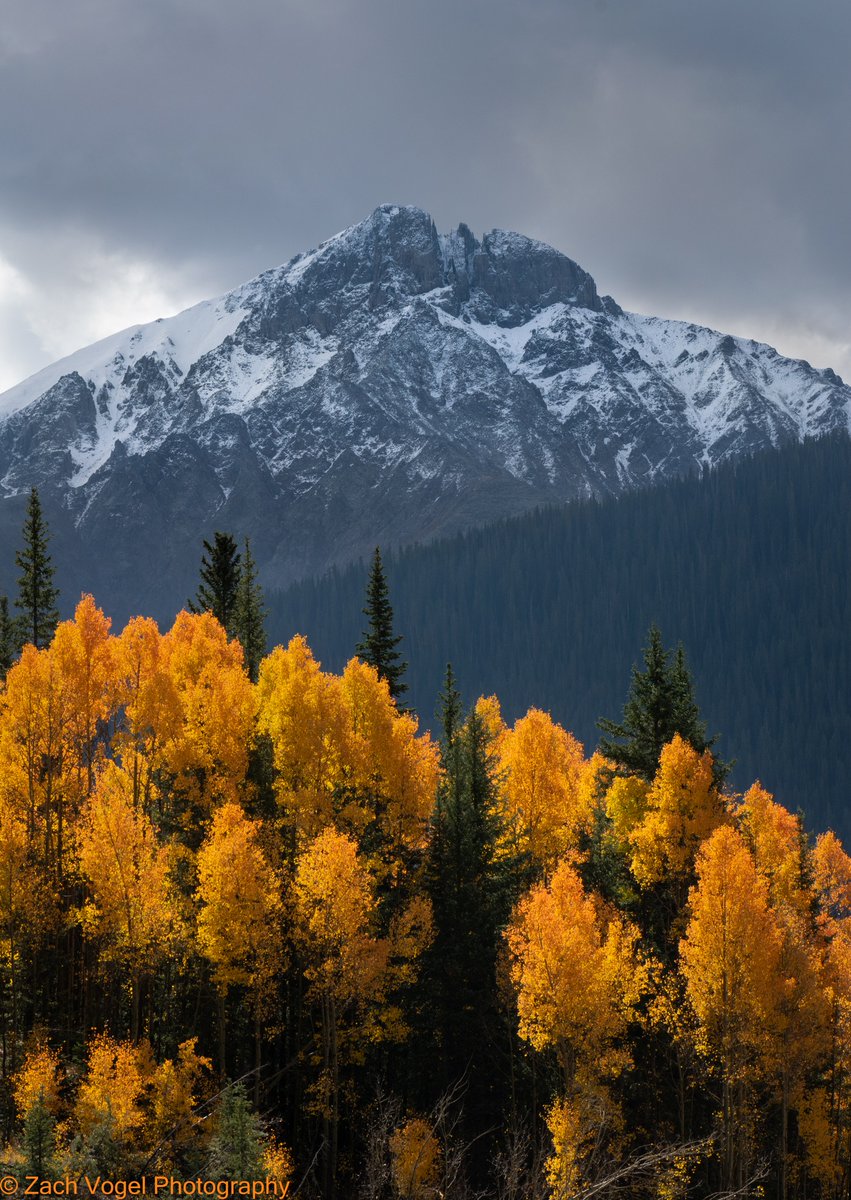"Fire and Ice
While driving into Silverton, Colorado, I had to stop and capture this scene as the flaming aspens contrasted the dramatic mountains in the background. Taken last year."

📸: Zach Vogel Photography - Discover Colorado | Through your photos
